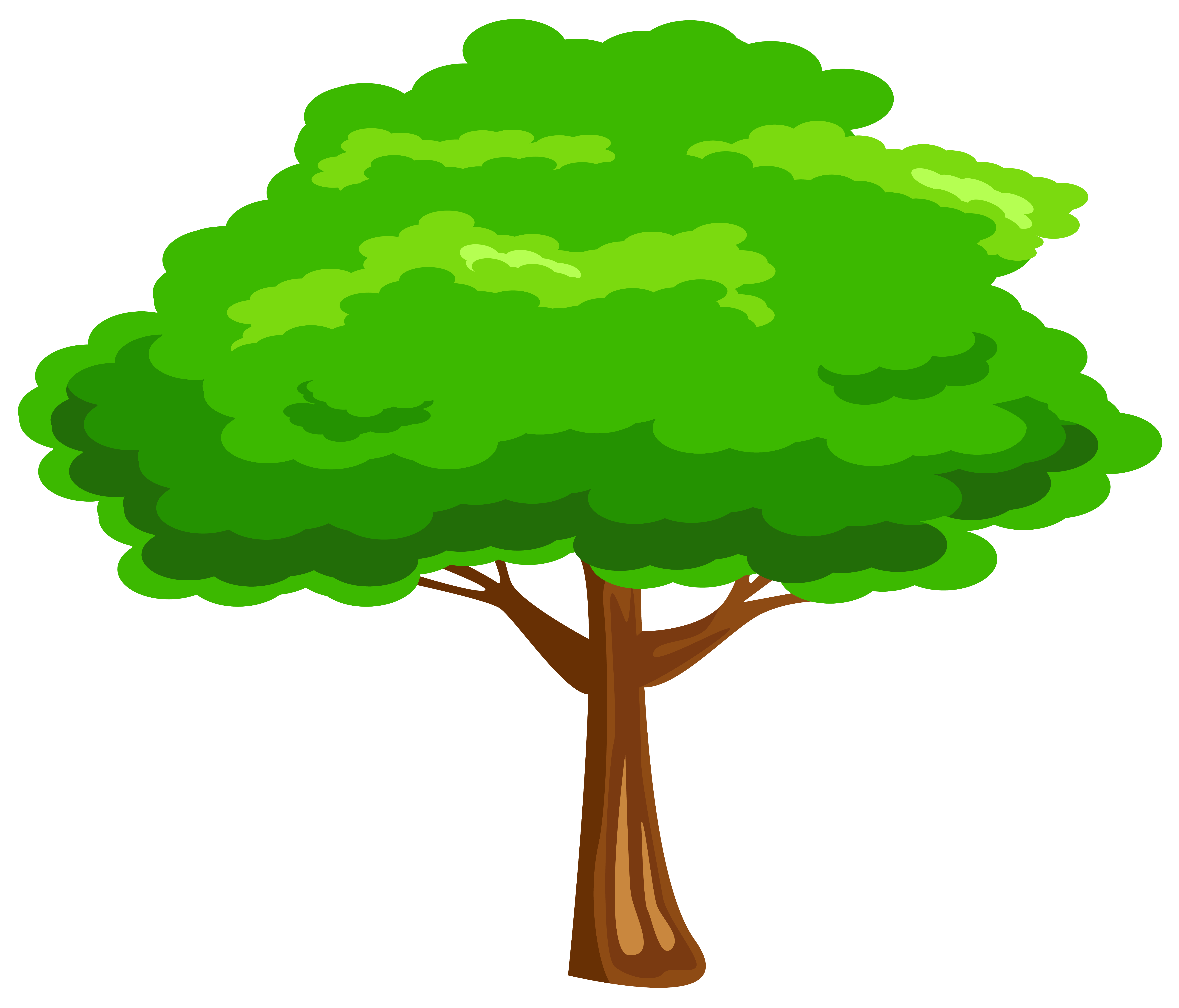 Free photo Green Tree Green, Leaf, Leaves Free Download Jooinn