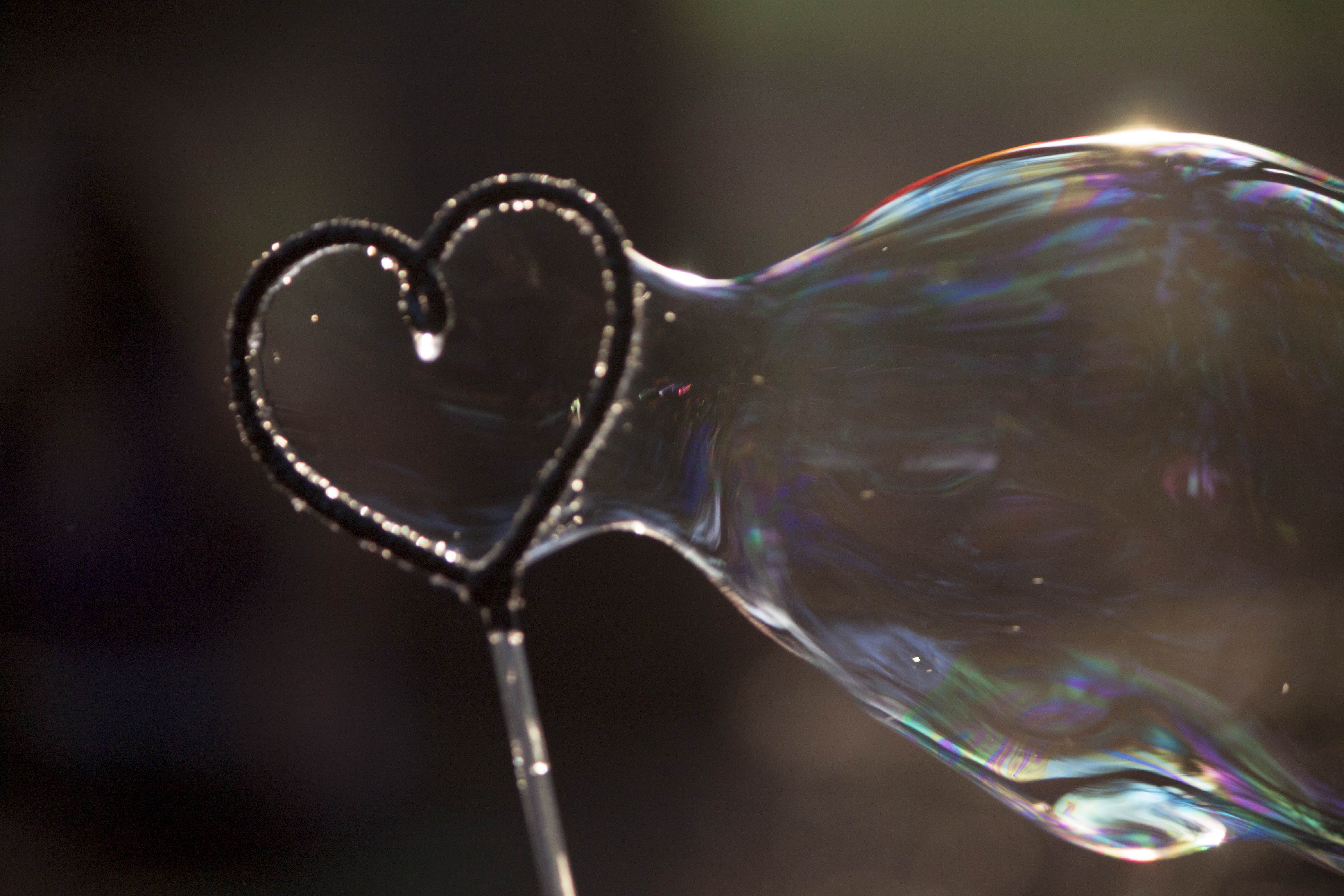 Free photo Heart Soap Bubbles Bubble, Heart, Love Free Download