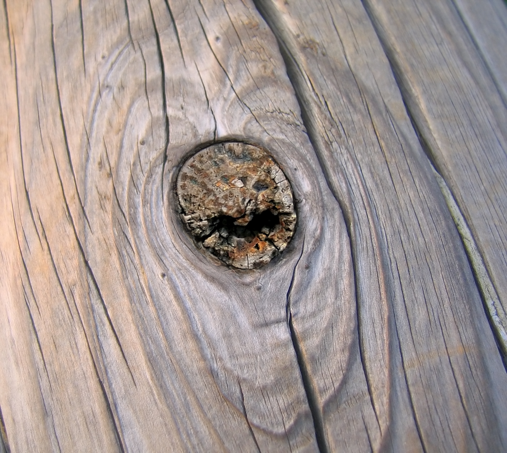 Free photo Knothole Age, Log, Wood Free Download Jooinn