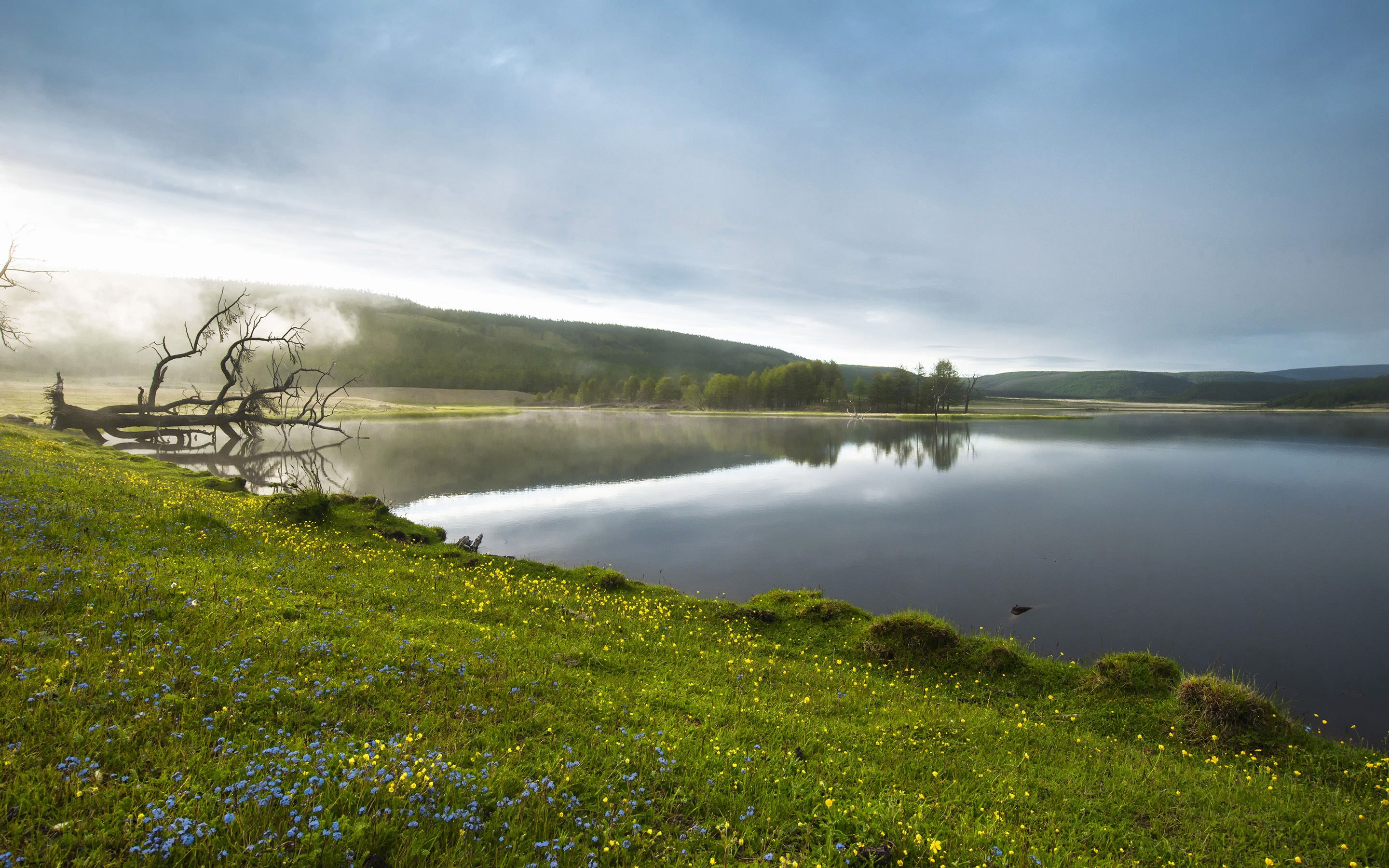 Free photo Lake Side Flow, Green, Lake Free Download Jooinn