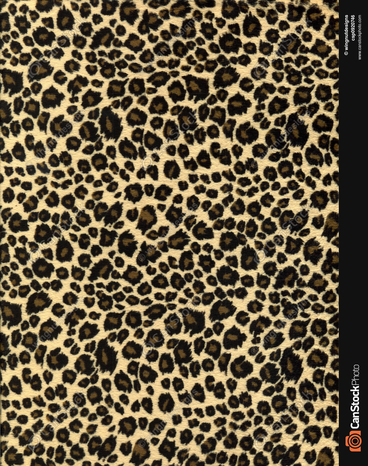 Free photo Leopard Print Texture Animal, Clipart, Graphic Free