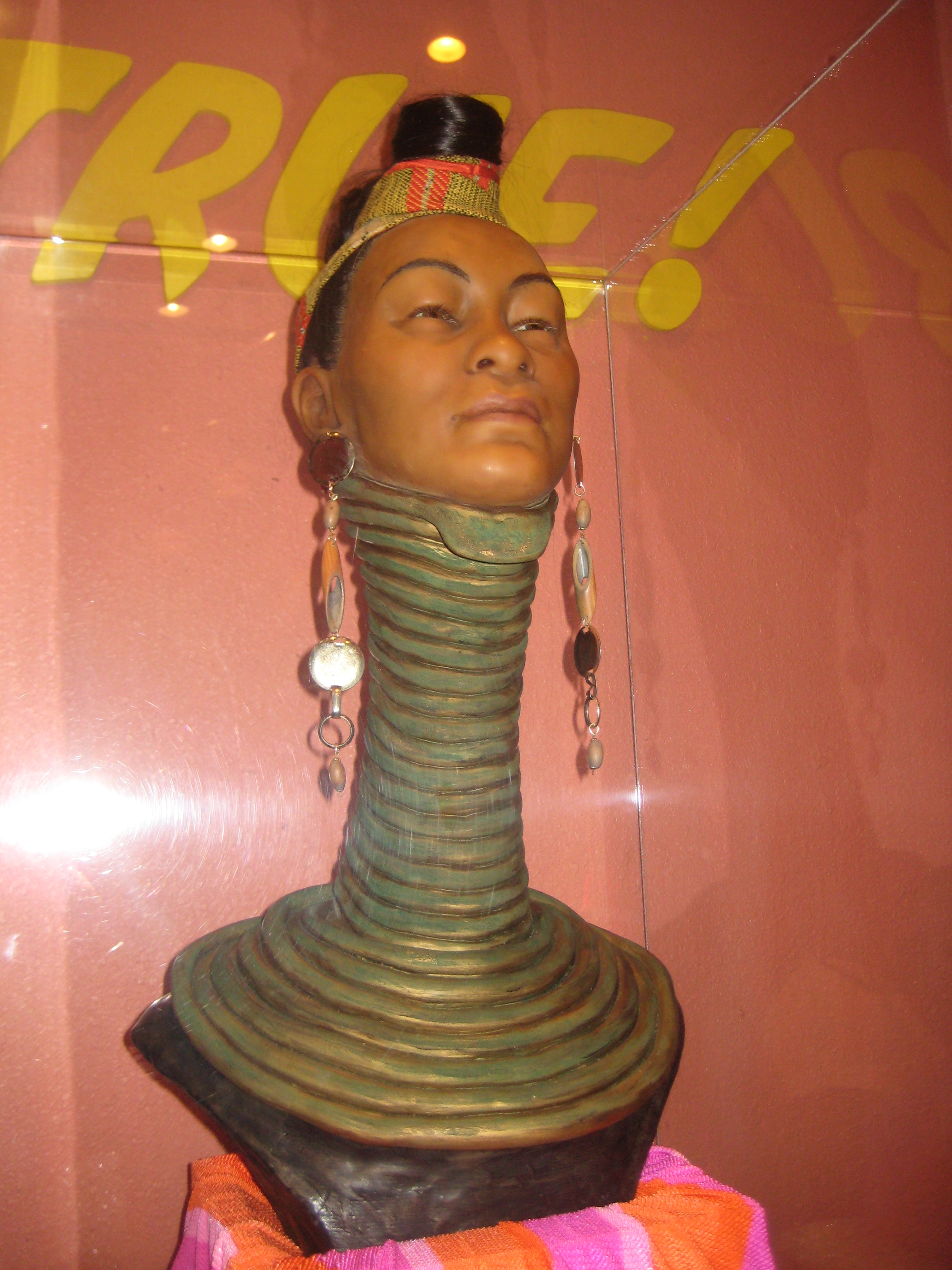 Free photo Long Neck Animal, Bird, Bspo06 Free Download Jooinn