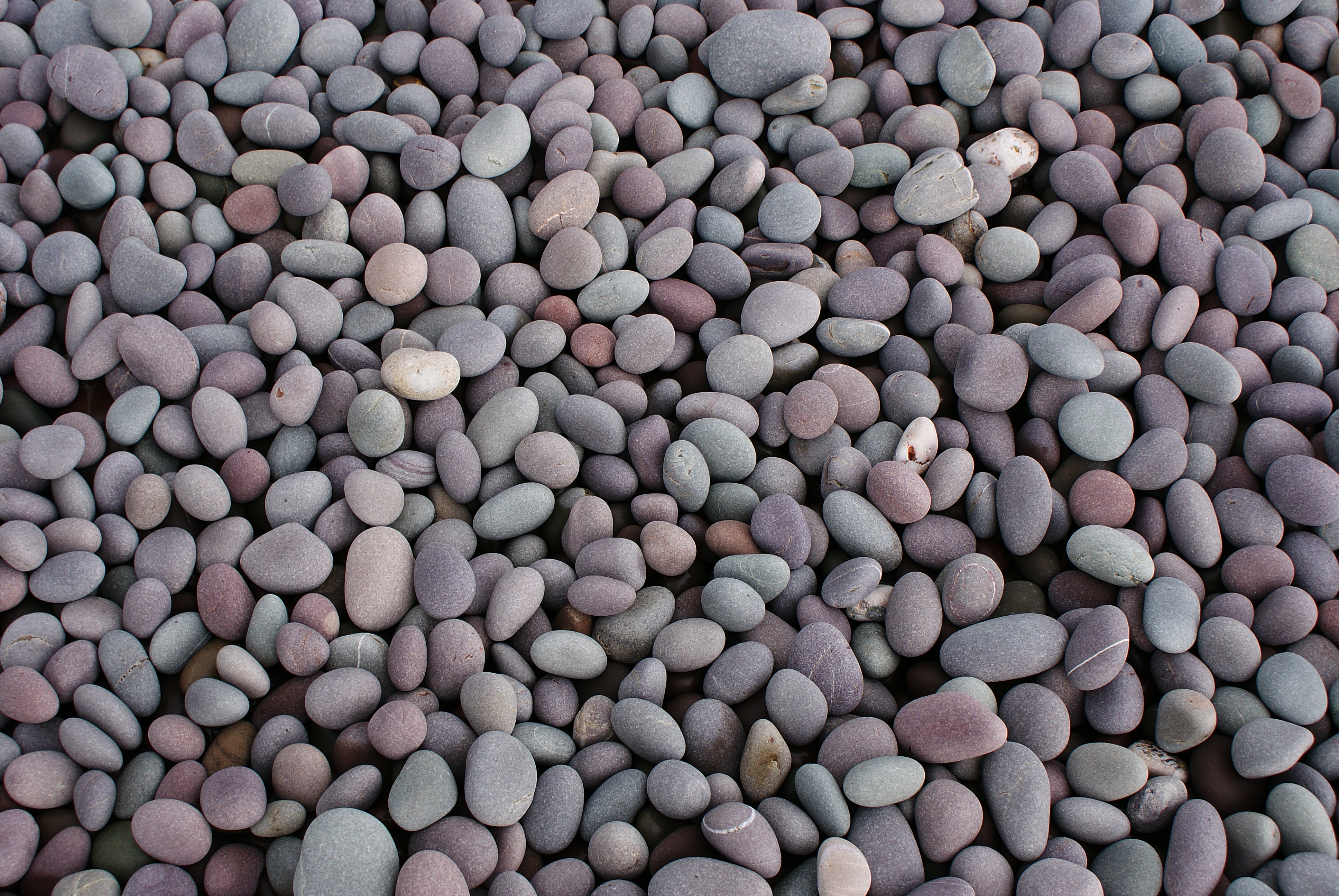 Free photo pebbles Stone, Texture Free Download Jooinn