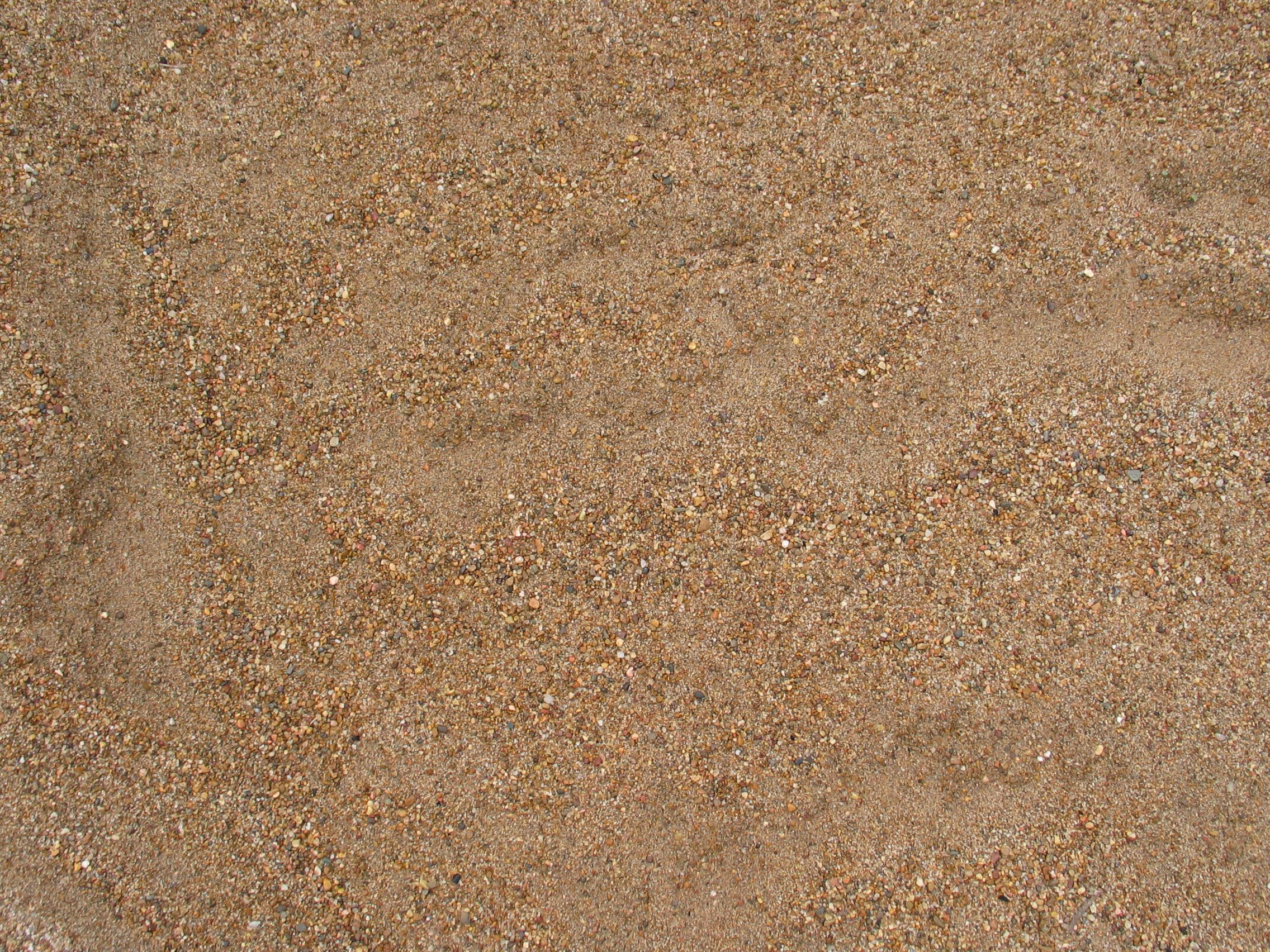 Free photo Sand Beach, Plants, Soil Free Download Jooinn