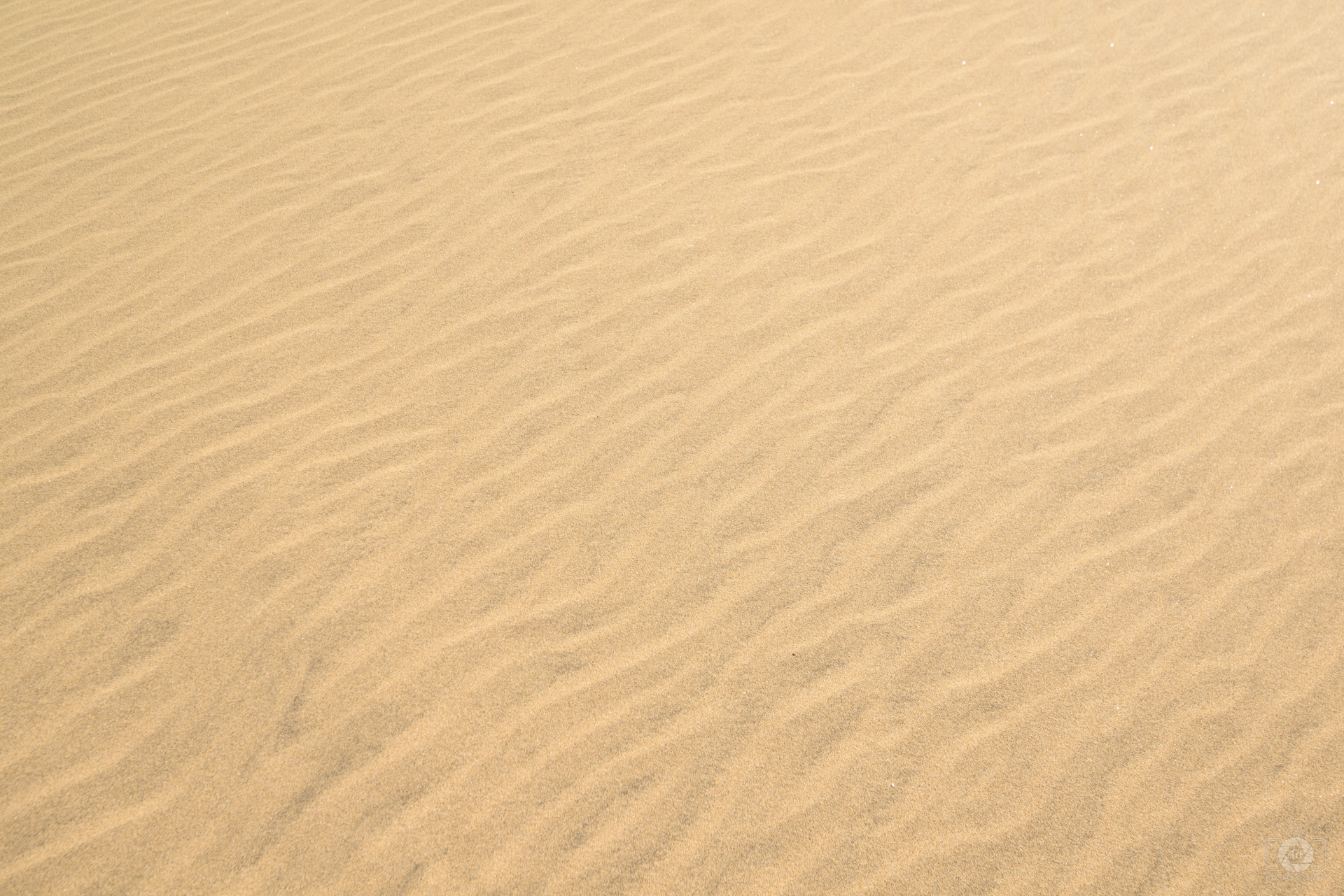 Free photo Sand texture Abstract, Hot, Terrain Free Download Jooinn