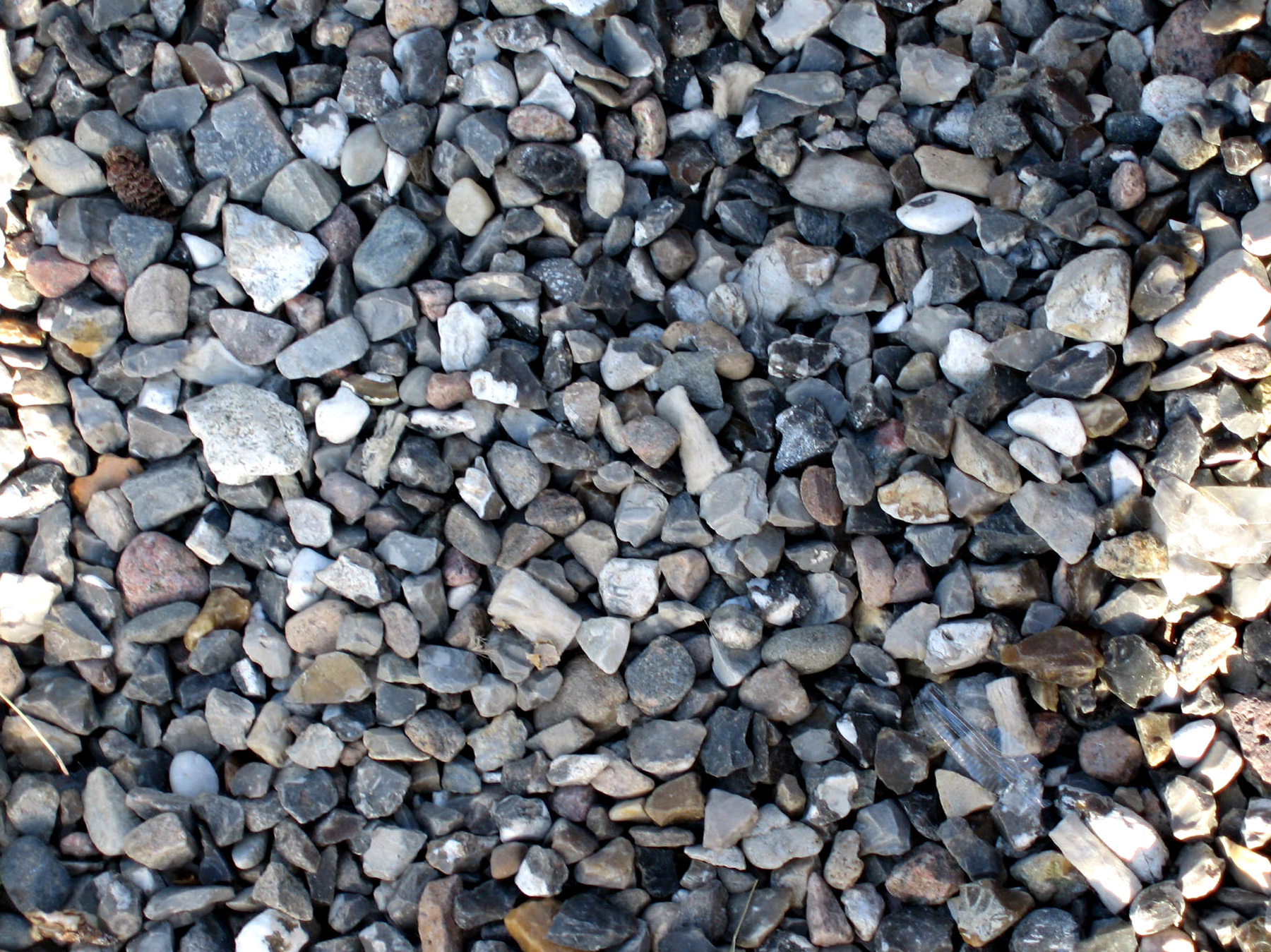 Free photo Shingle Closeup, Dirt, Gravel Free Download Jooinn