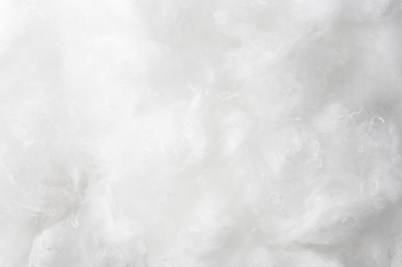 Free photo Soft Dandelion, Flower, Nature Free Download Jooinn