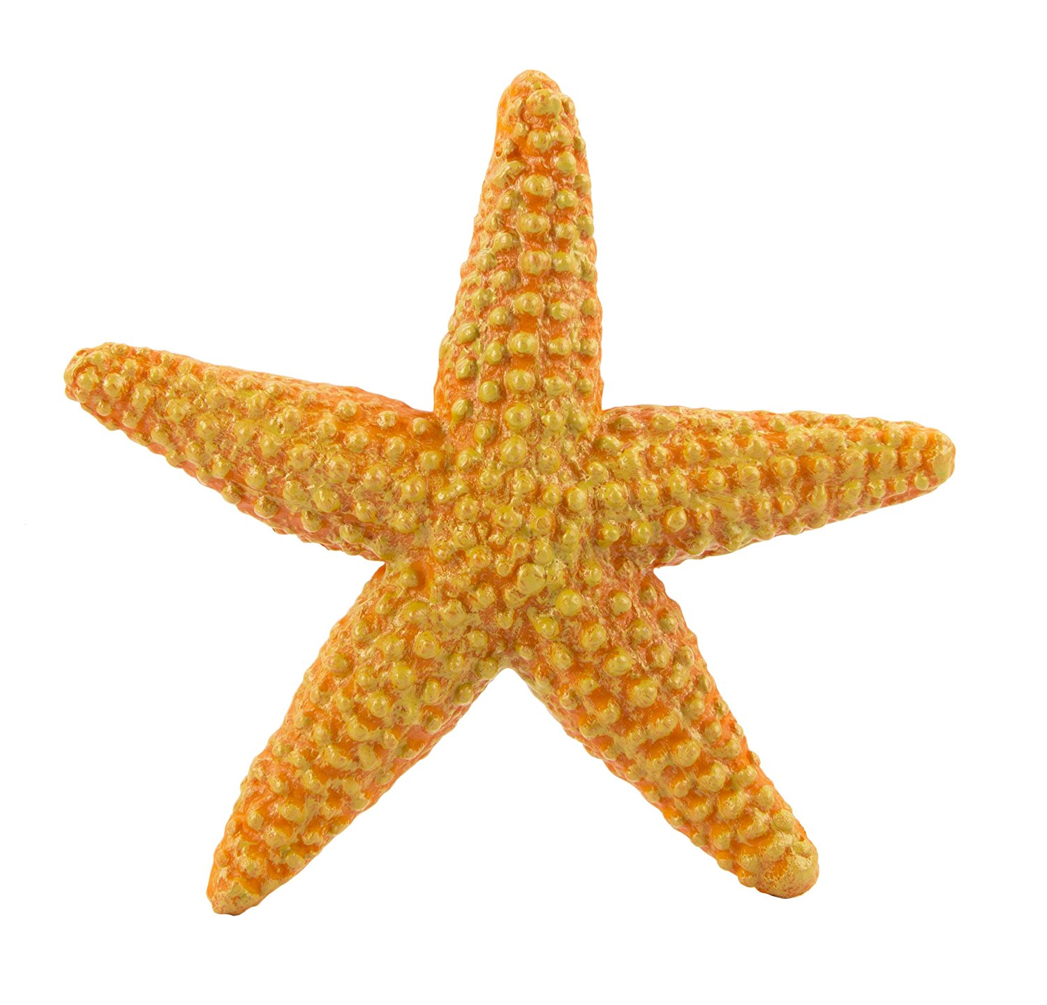 Free photo Starfish 1, Fish, One Free Download Jooinn