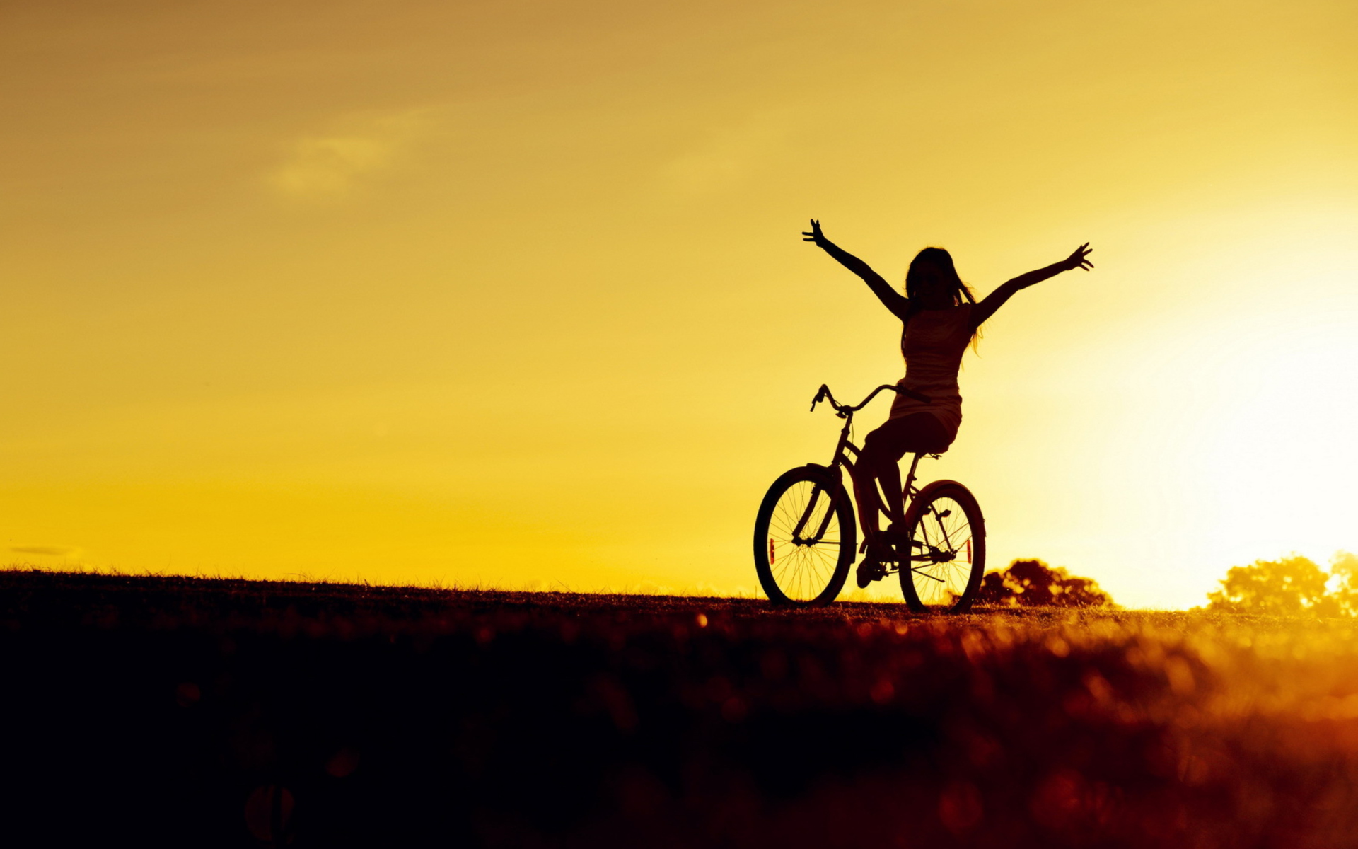 Free photo Sunset & bicycle Beach, Road, Water Free Download Jooinn