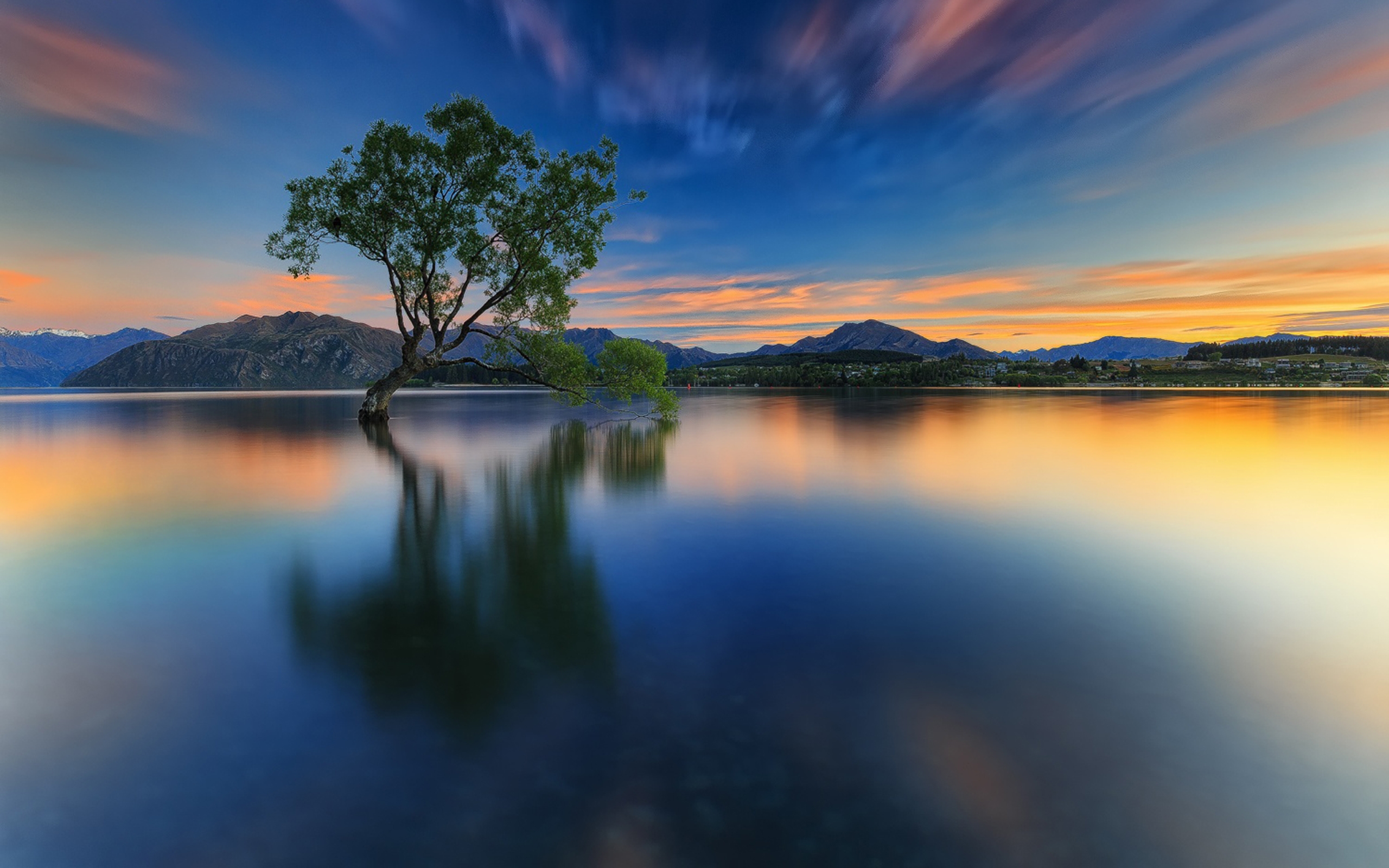 Free photo Tree Reflection Brook, Digitalart, Gimp Free Download