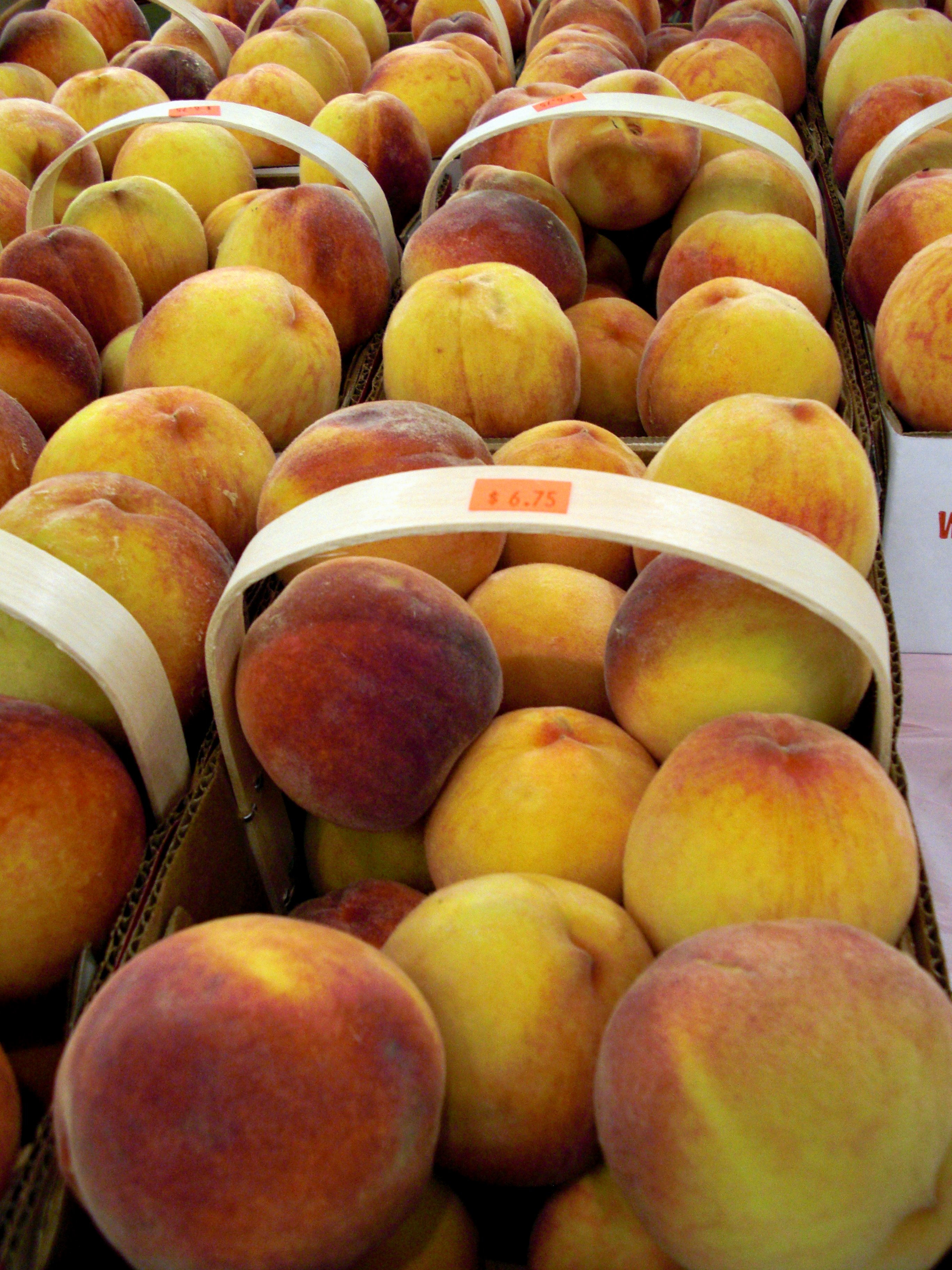 Free photo Veggies Havest, Peach, Peaches Free Download Jooinn