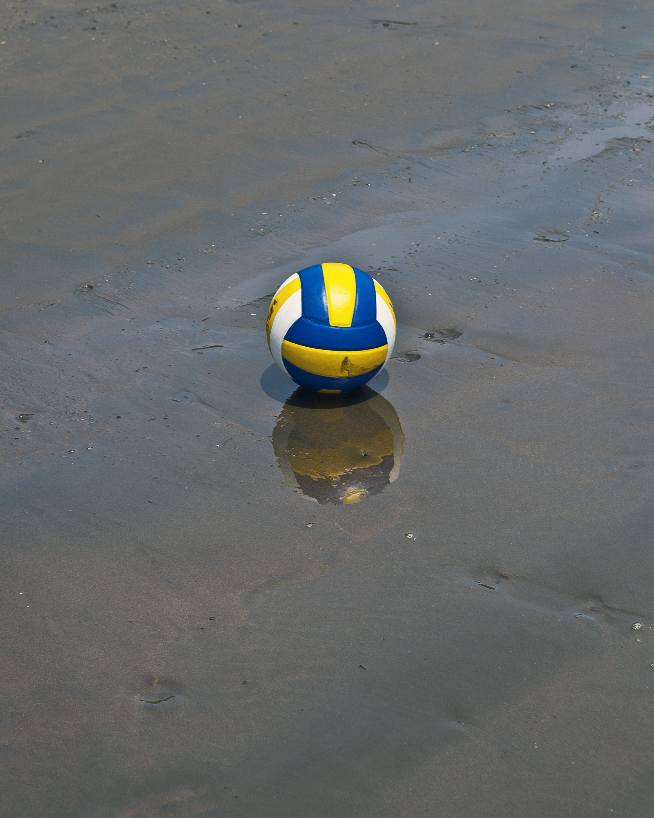 Free photos Volleyball 16 images, Volleyball photos, Volleyball