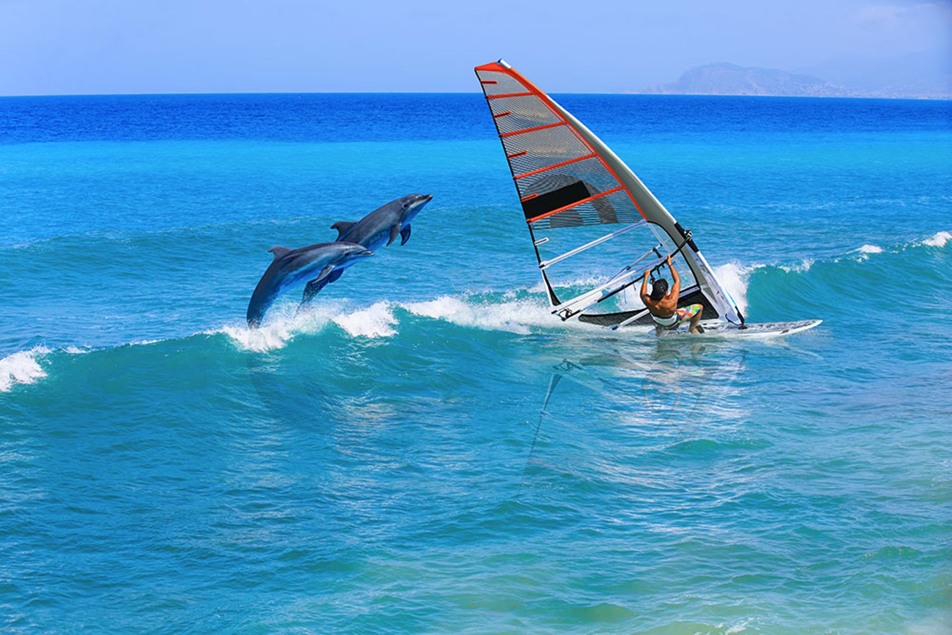 Free photo Windsurfer Free Download Jooinn