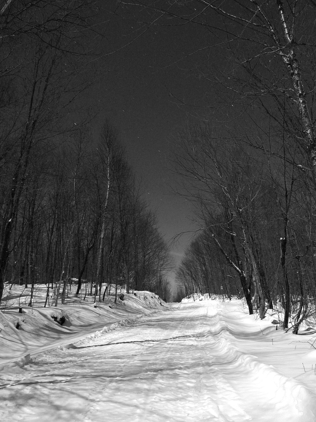 Free photo Winter Night Blackandwhite, Canada, Con0207 Free