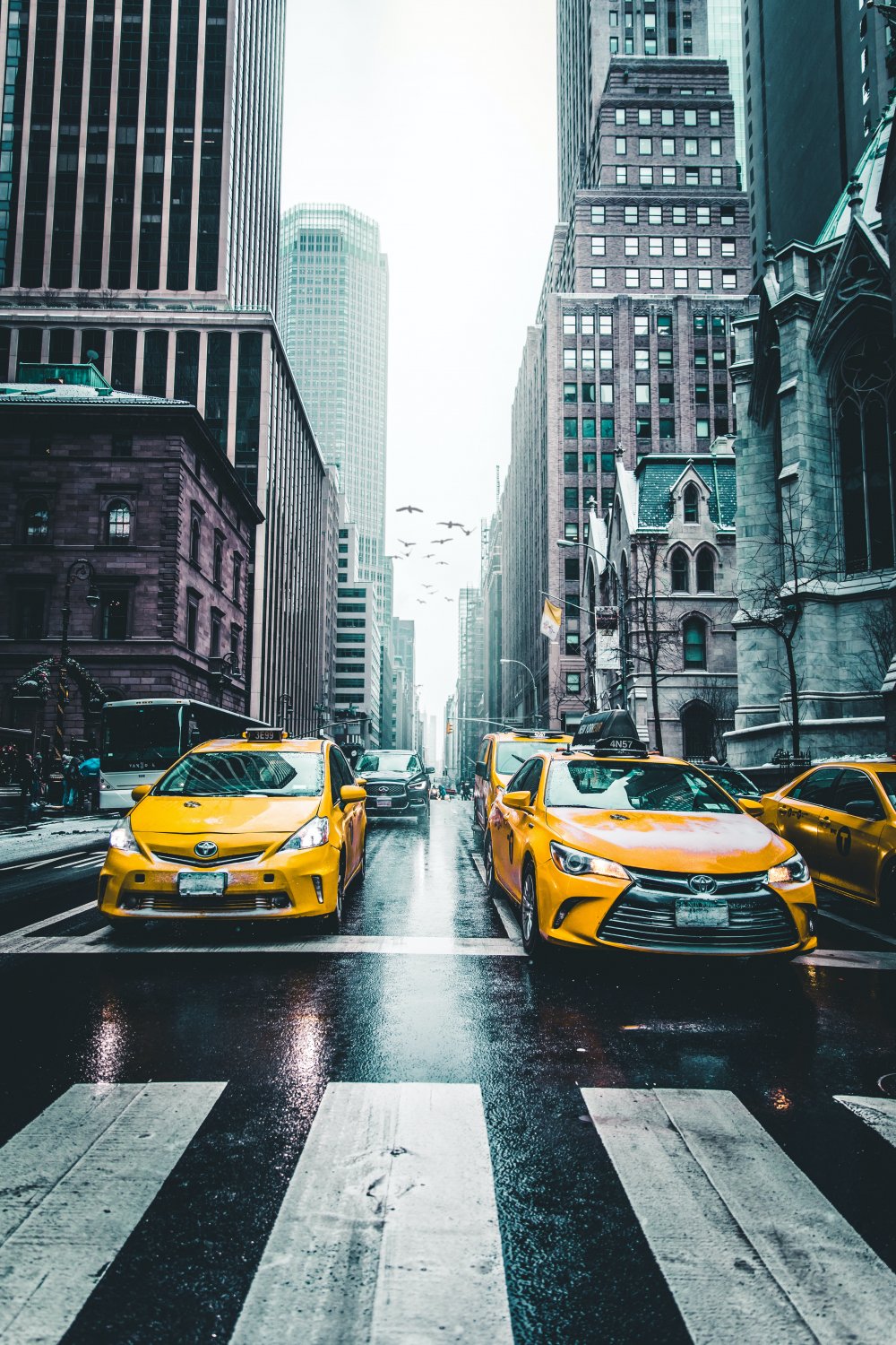 Taxi i kör efter din tidtabell joomlanight.se
