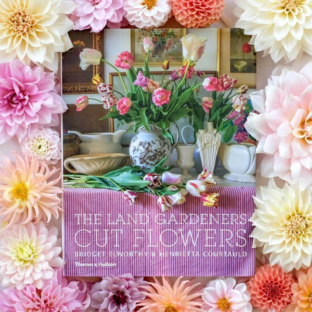List Of Cut Flowers With Pictures Cut Flowers Of The World Cabi Org