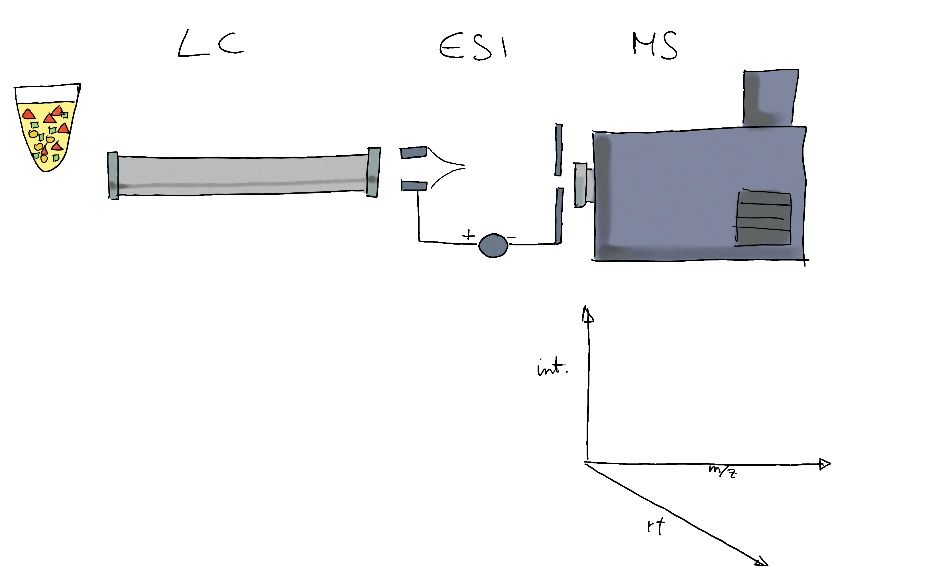 Exploring and Analyzing LCMS Data with Spectra and xcms • xcmsTutorials