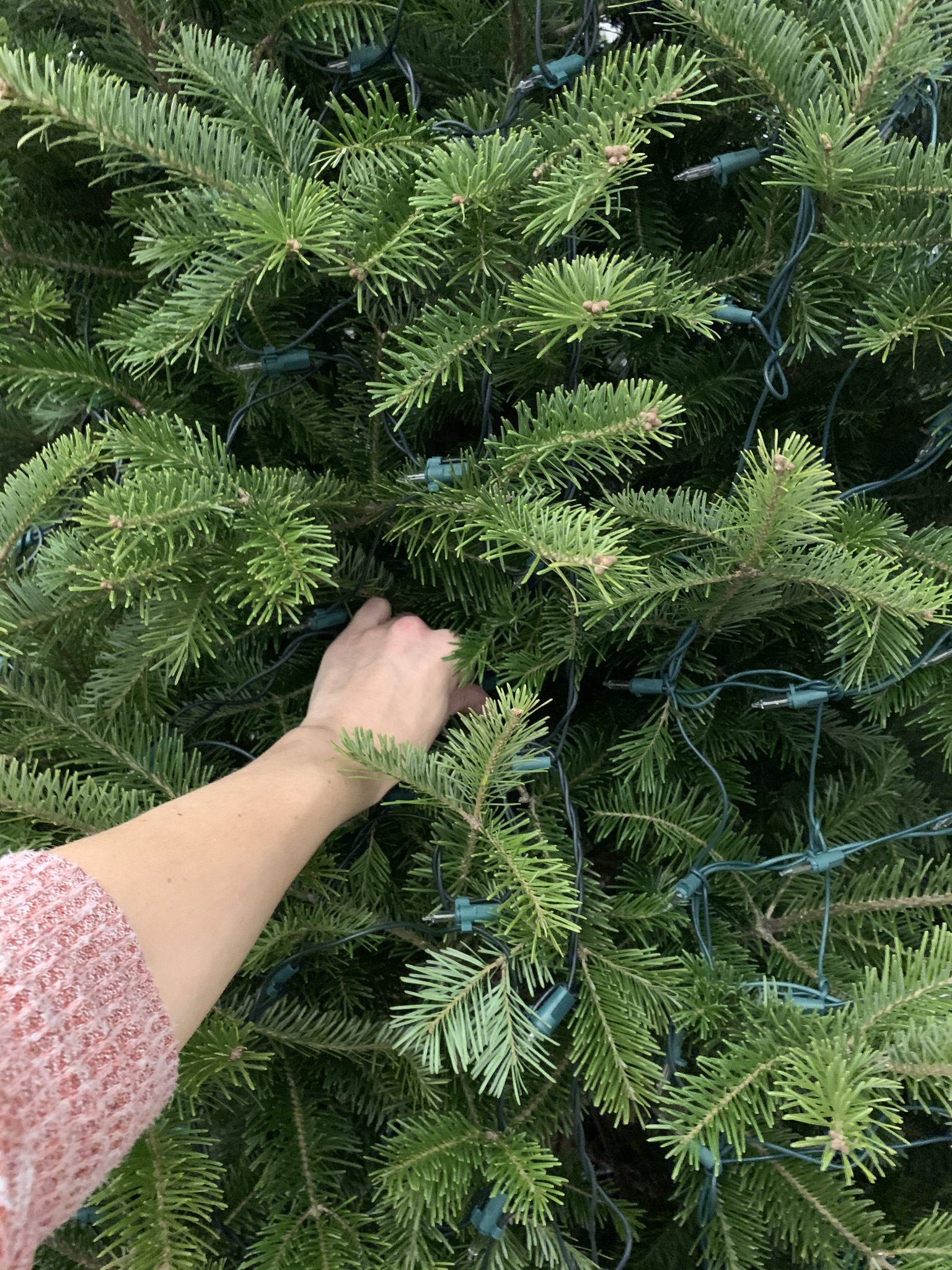 Hide Christmas Light Wires Chicago Interior Designer, Jordan Guide