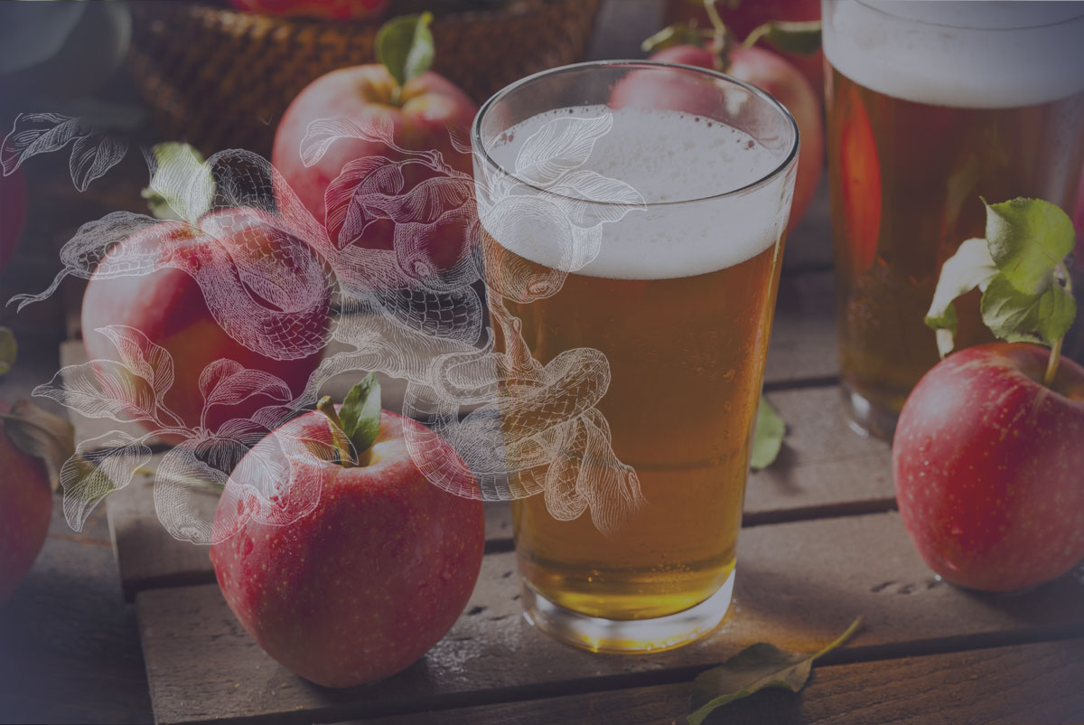 Blog Our Ciders JKK JORK Cider