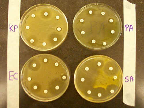 Antibiotics