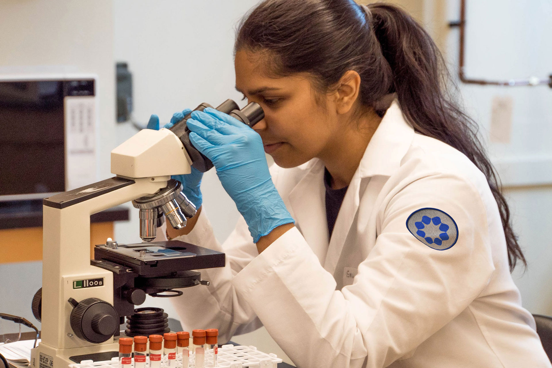 Joseph Allegro—Stone Living Lab