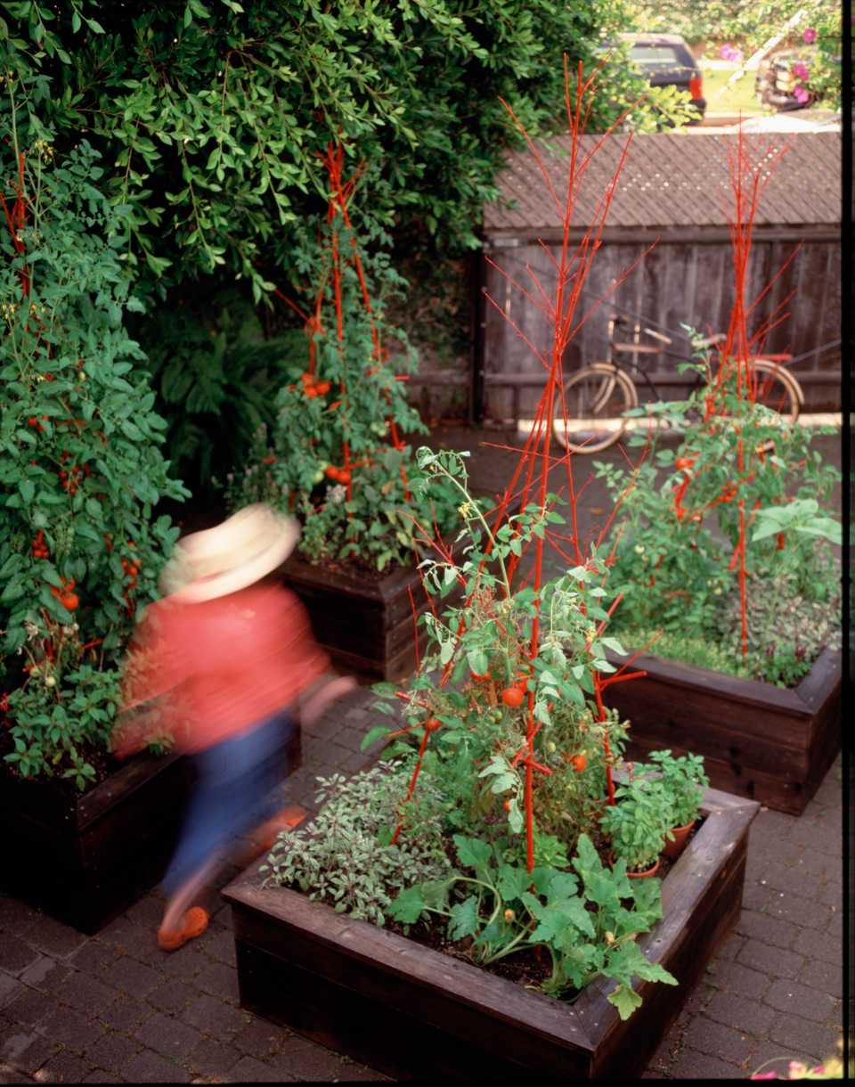 The Lombard Garden Joseph Marek