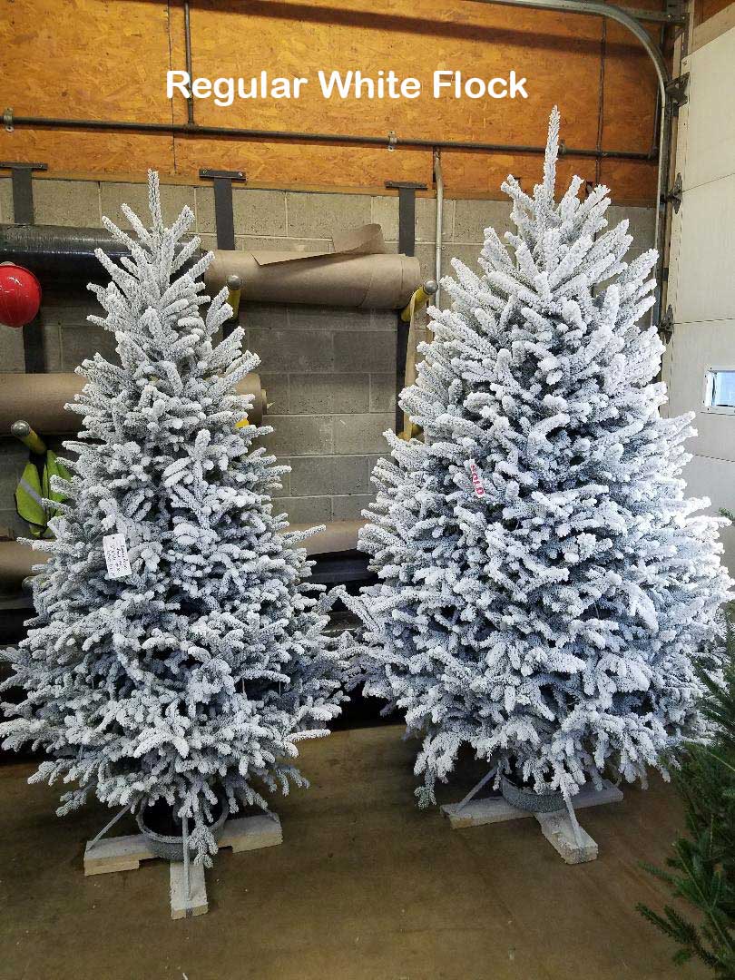 Flocked Trees Joseph's Nursery & Garden Center