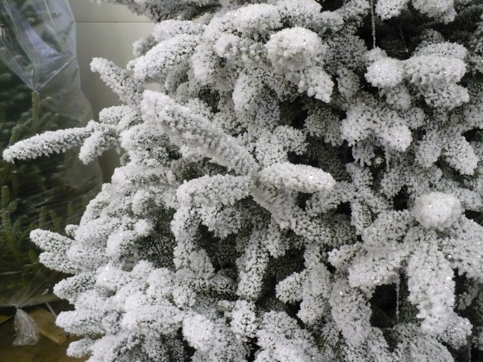 Flocked Trees Joseph's Nursery & Garden Center
