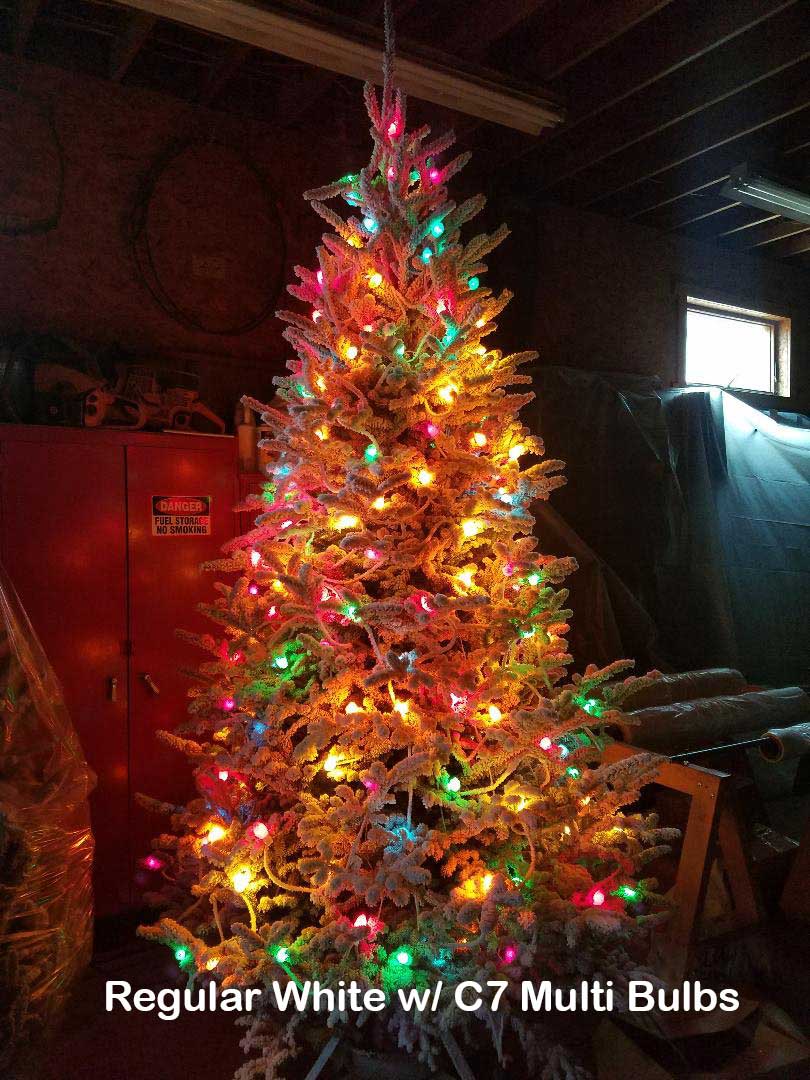 Flocked Trees Joseph's Nursery & Garden Center