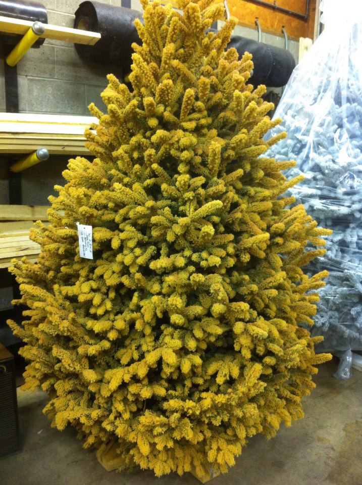 Flocked Trees Joseph's Nursery & Garden Center