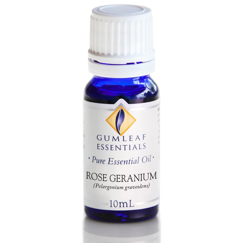 Rose Geranium Essential Oil Essential oils for you and your family