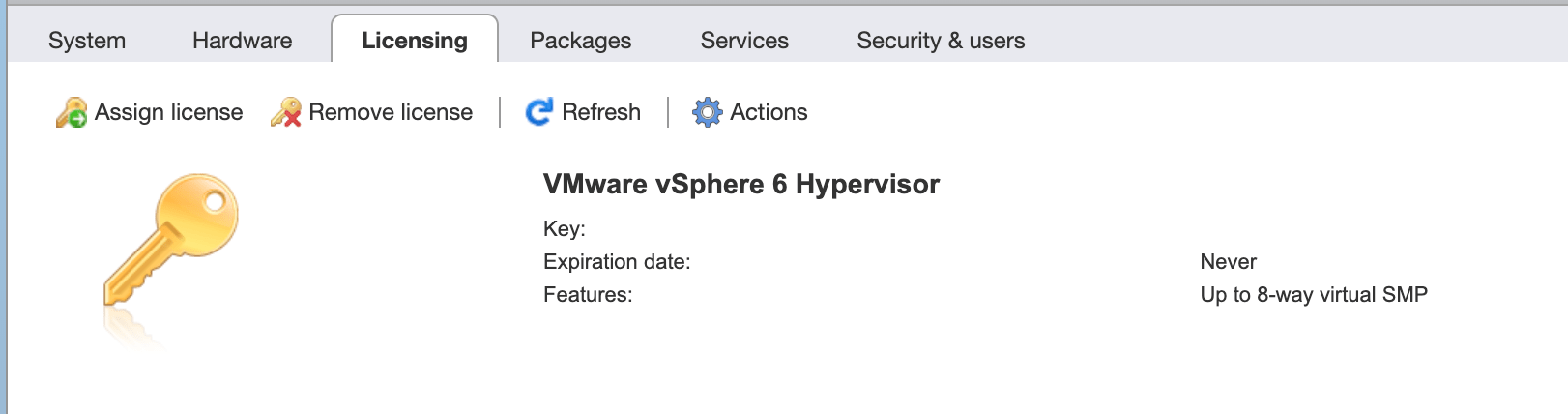 My Home Lab ESXI/PiHole/PfSense/Docker