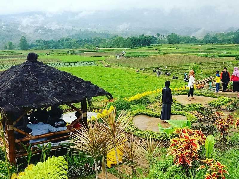 24 Daerah Ikuti Festival Desa Wisata Sleman 2018 JoSS.co.id