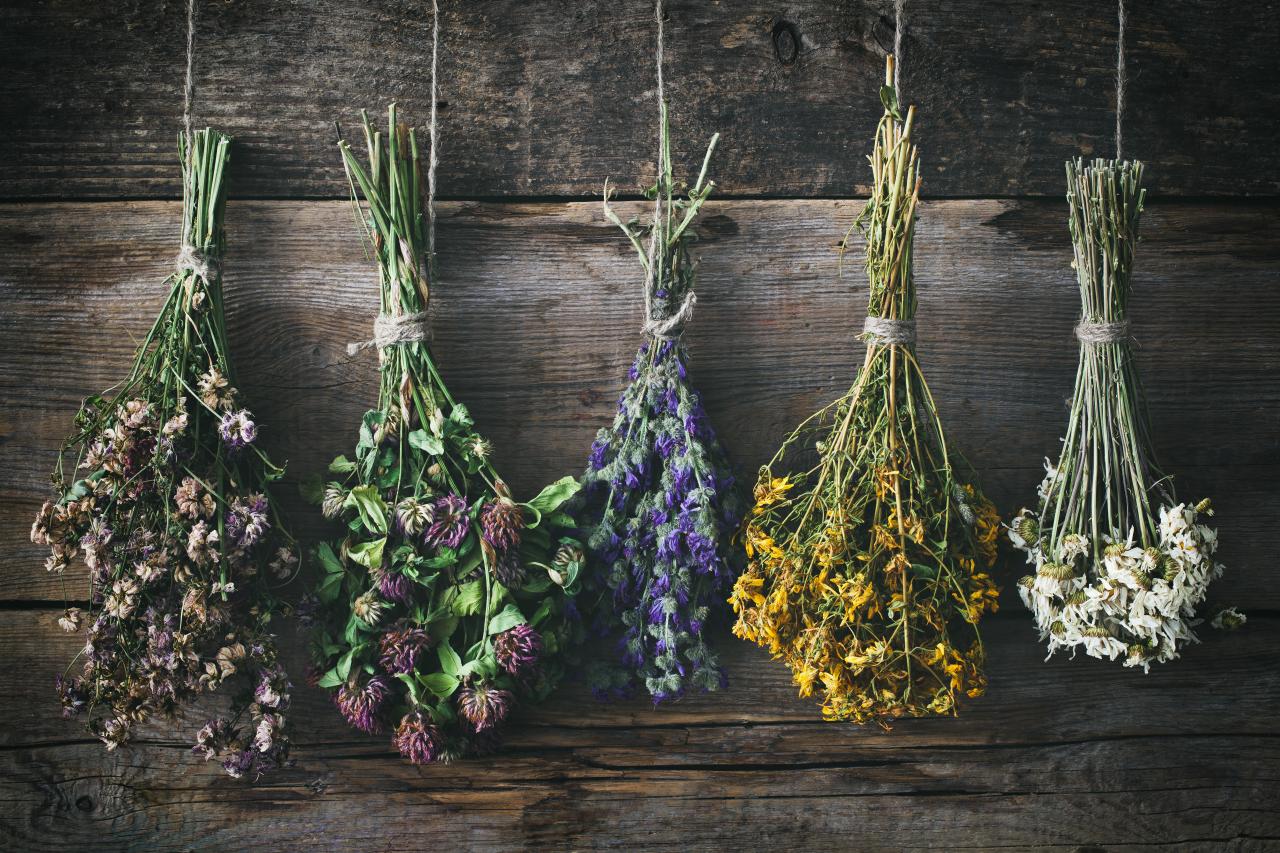 HOW LONG DO DRIED FLOWERS LAST? Josy Decor
