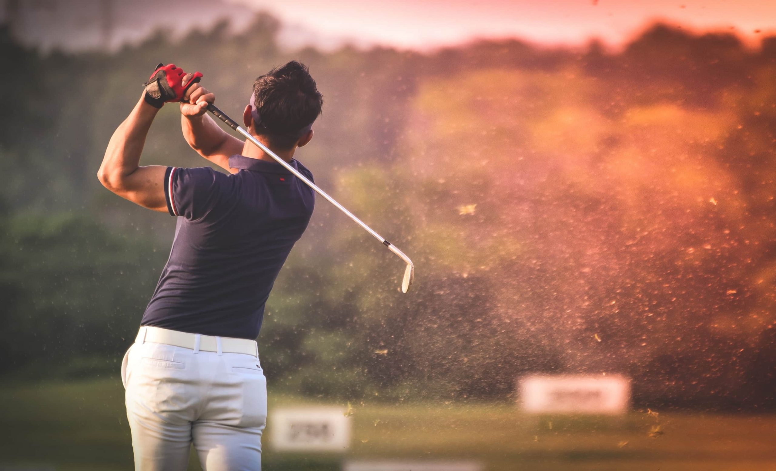 La Passion Du Golf: Psychologie Du Gagneur by Willy Pasini Alibris