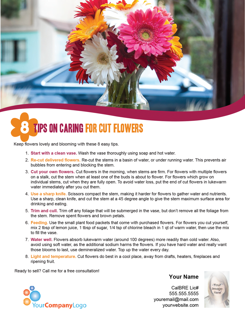 FARM 8 Tips on caring for cut flowers firsttuesday Journal
