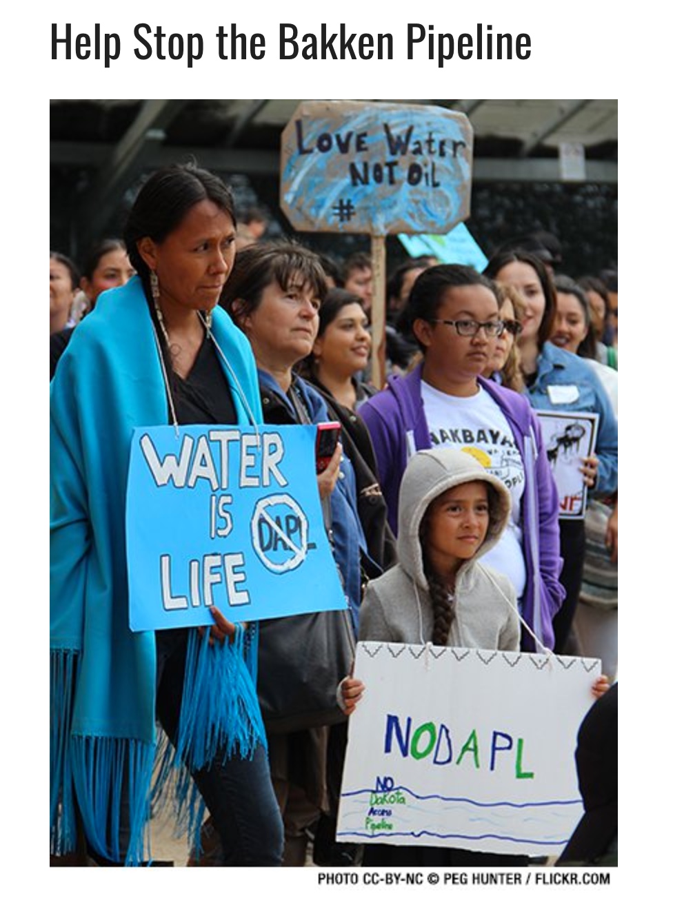 Food and Water Watch Who’s Banking on DAPL? RawEarthWorks Journal
