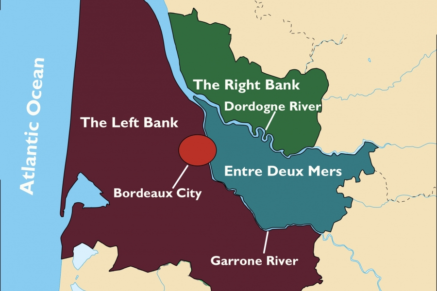 Bordeaux grape varieties, left bank and right bank; Bordeaux explained.