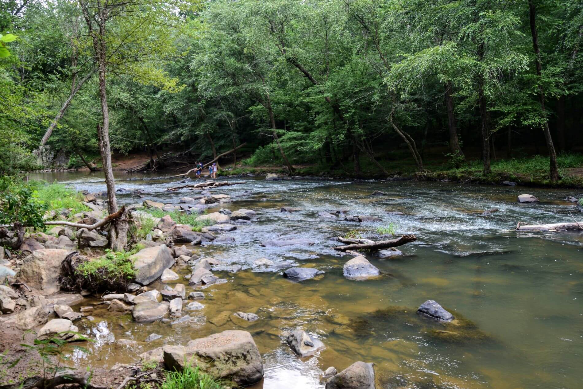 Visiting NC's Eno River State Park Journal Abroad