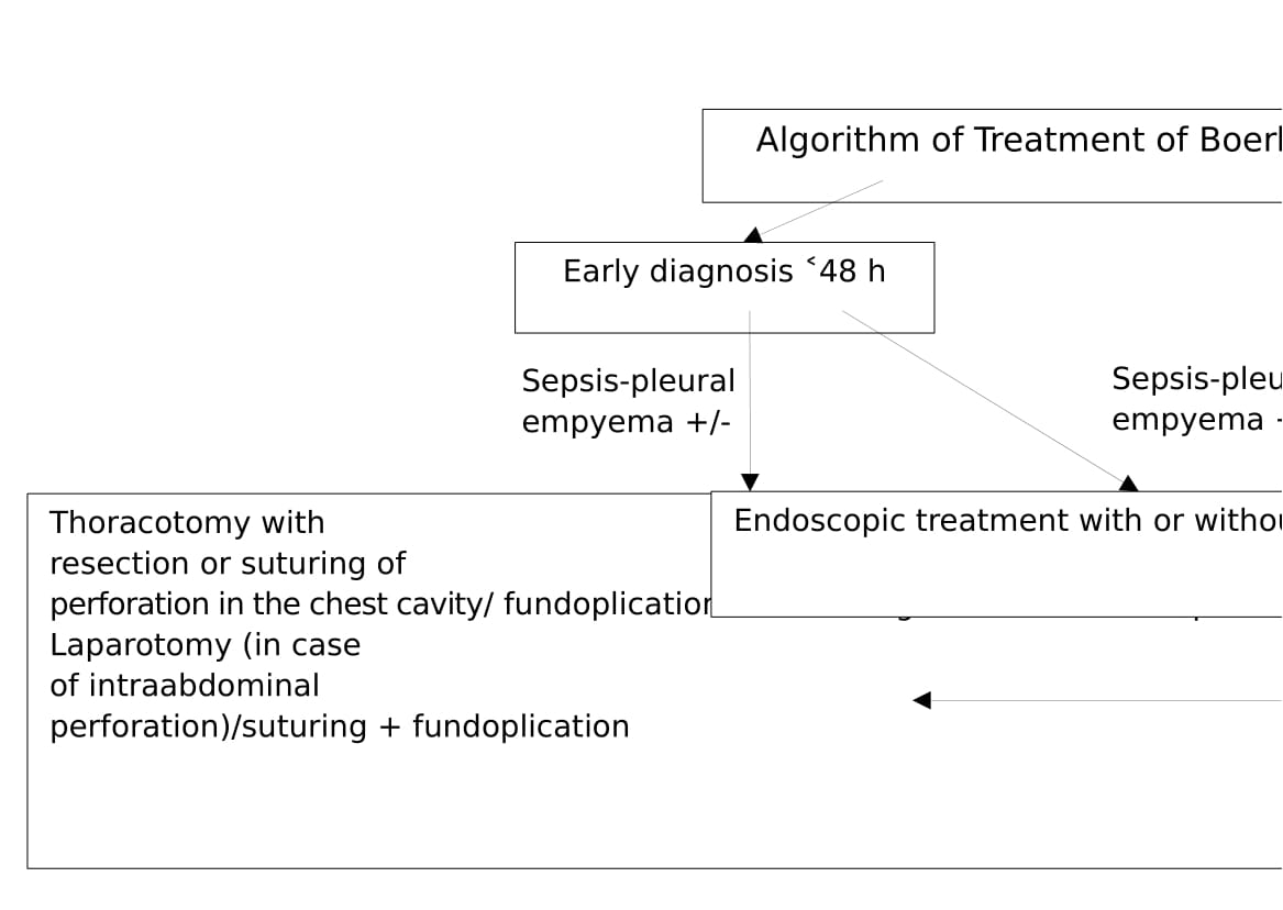 Boerhaave Syndrome Vs Mallory Weiss Tear Pregnant Health Tips