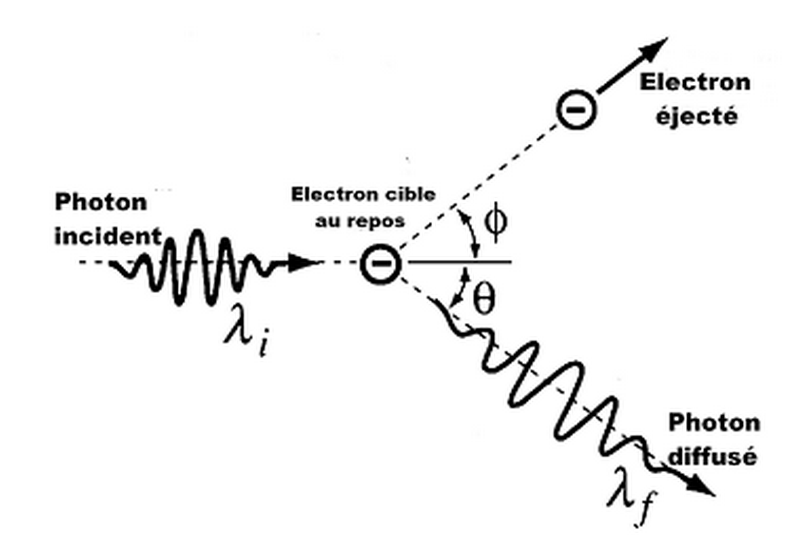 La découverte des rayons X par Röntgen