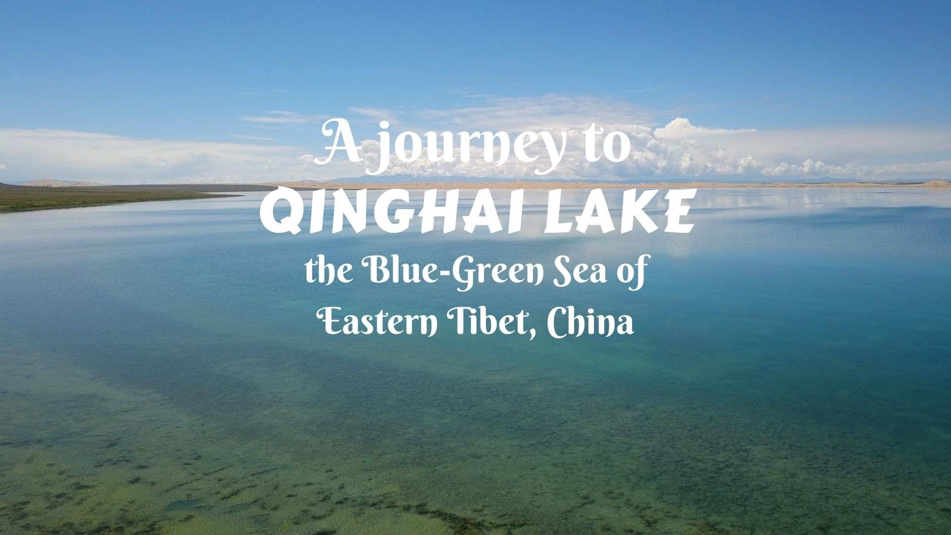 A journey to Qinghai Lake the BlueGreen Sea of Eastern Tibet