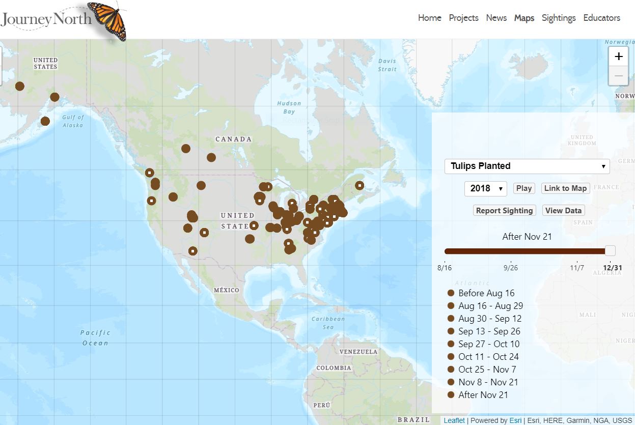 08/01/18 Plant Tulips, Track the Seasons