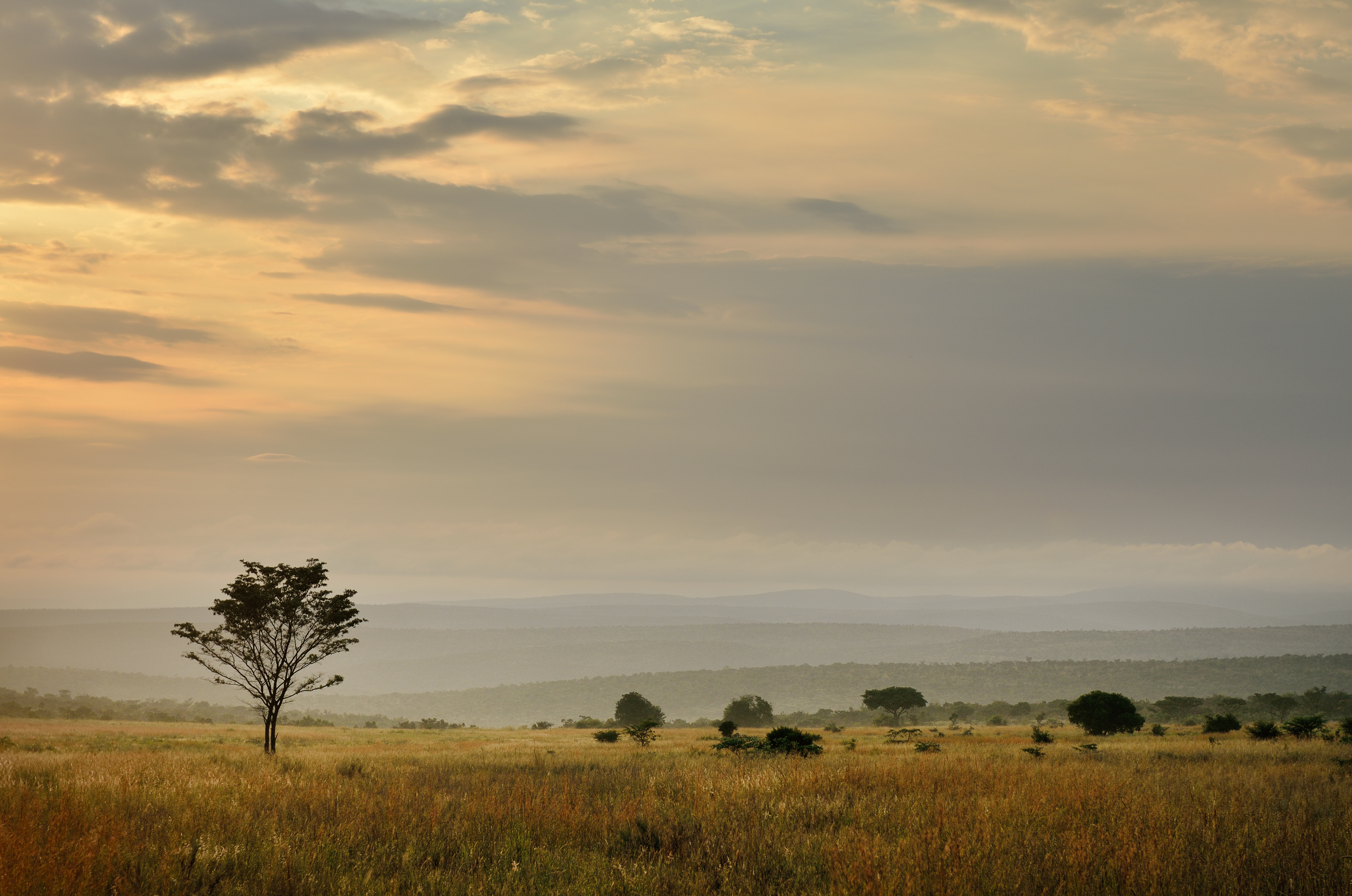 Waterberg Savannah Biosphere Reserve, South Africa Journeys by Design