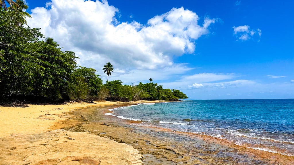 Is Rincon Puerto Rico Worth Visiting?