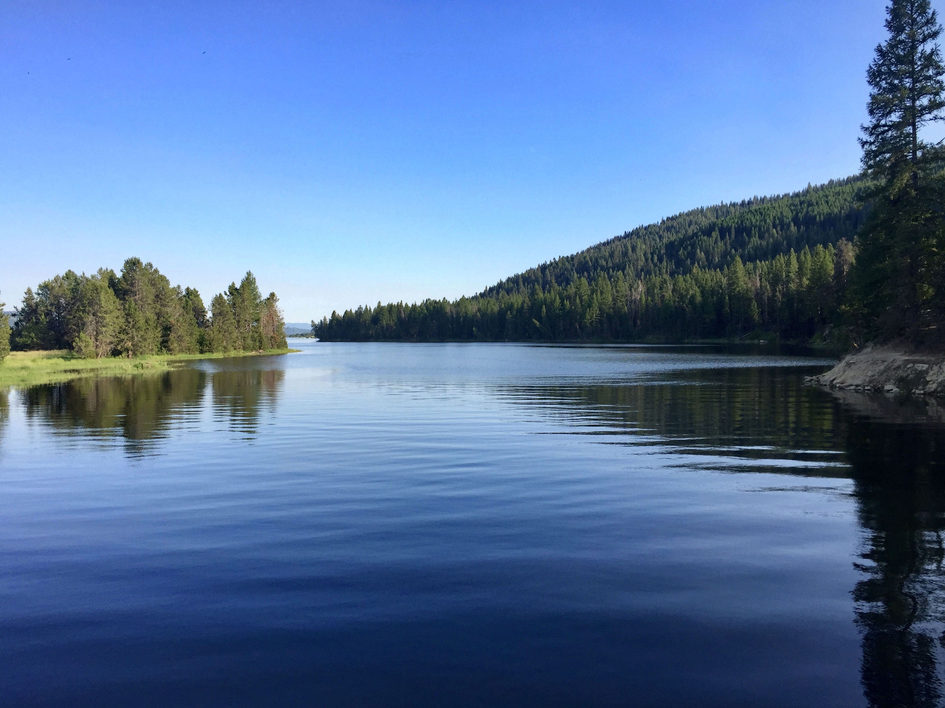 The Life of a Swamper Journeys of Thankfulness