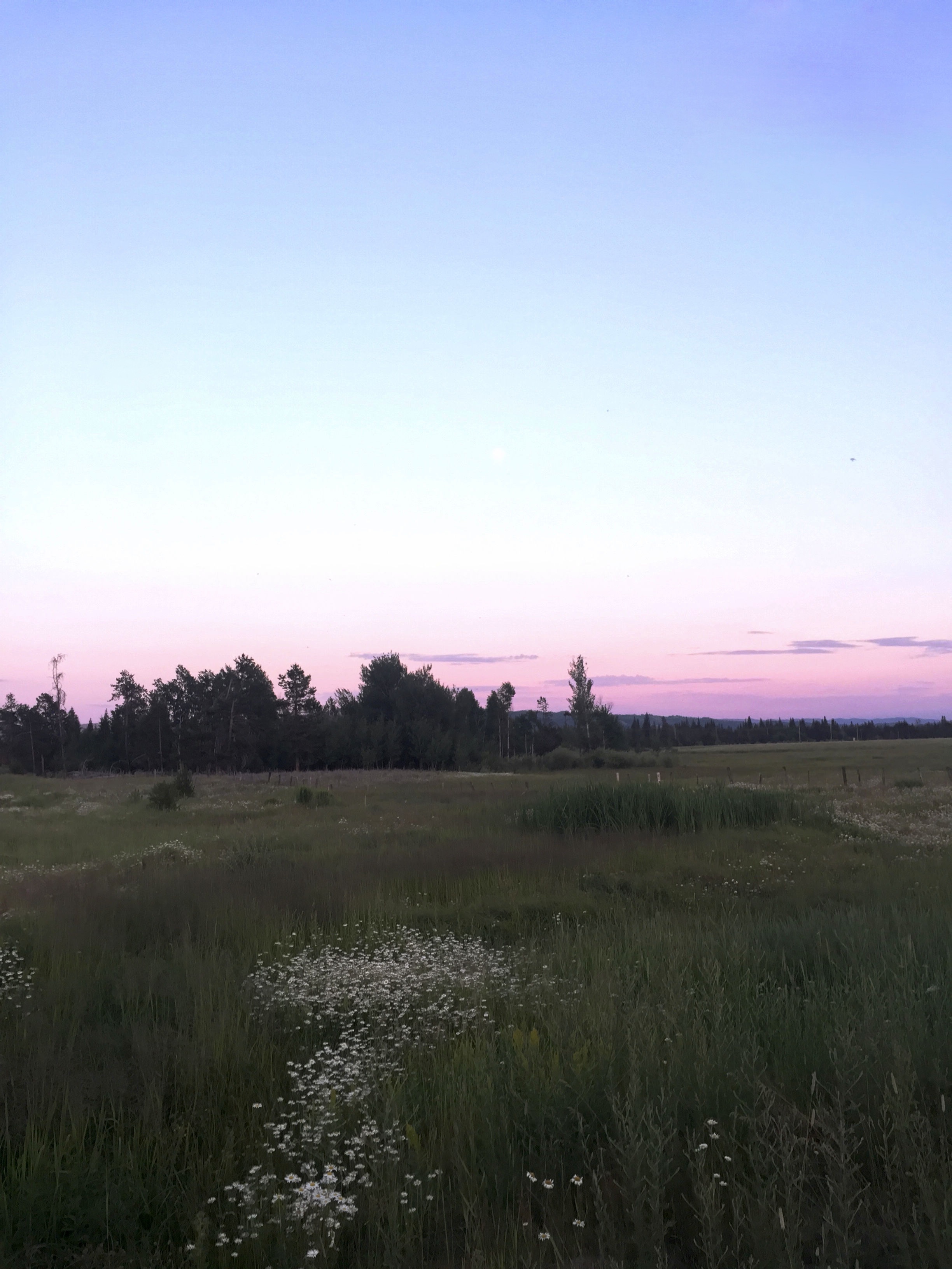 The Life of a Swamper Journeys of Thankfulness