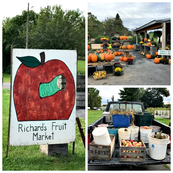 Apple Harvest Festival will fill the fairgrounds with fun