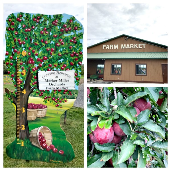 apple harvest festival 2023 winchester va Fall Fun In Winchester, Virginia An Apple Lovers Dream