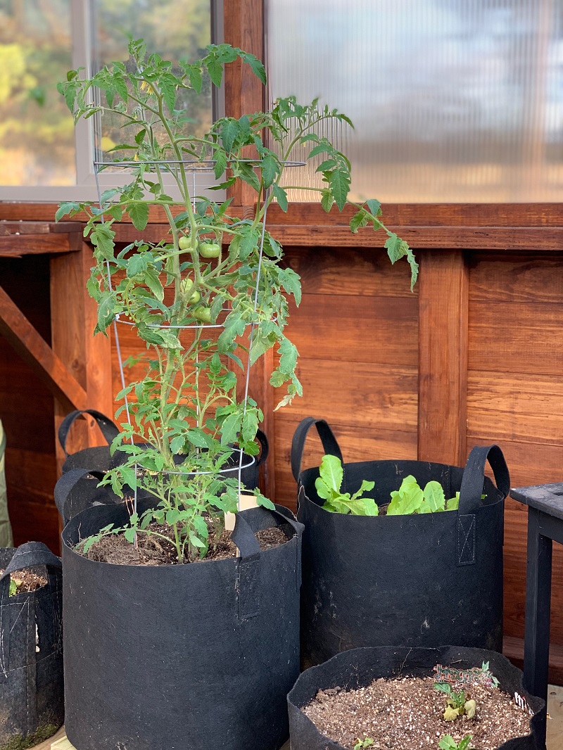 Grow Bags for Vegetable Gardening and More The Beginner's Garden